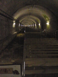 �Q�n�����s