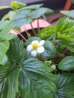 ���N���炢����