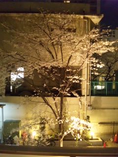 �x�����_����