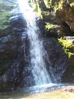 �}�C�i�X�C�I��