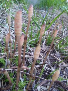 �������R