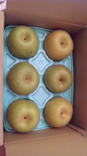 �����͂��܂���