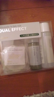 ���ł��������ˑ���