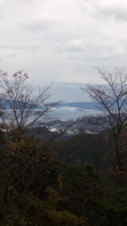 ����΍���R