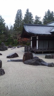 ����R�A��������