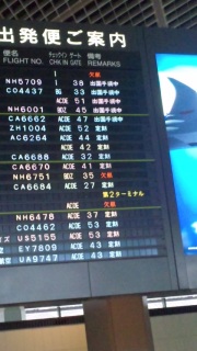 �C�^���A�֌������͂����c