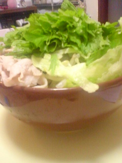 ����͉��ł��傤